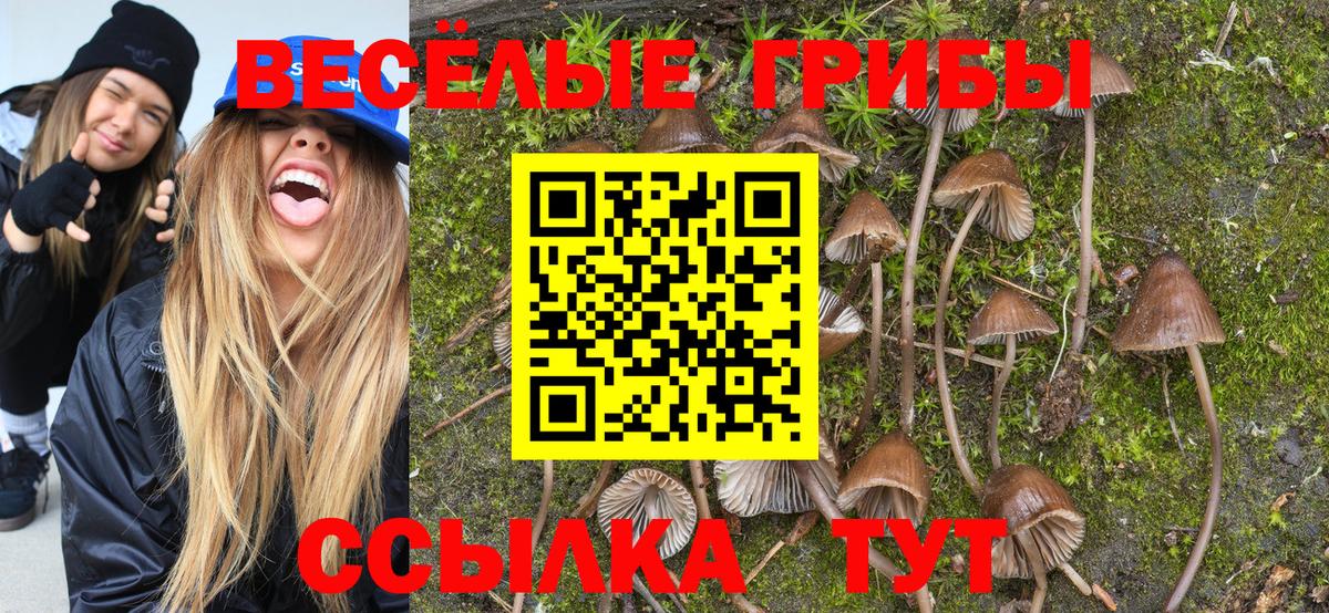 NBOMe Туймазы