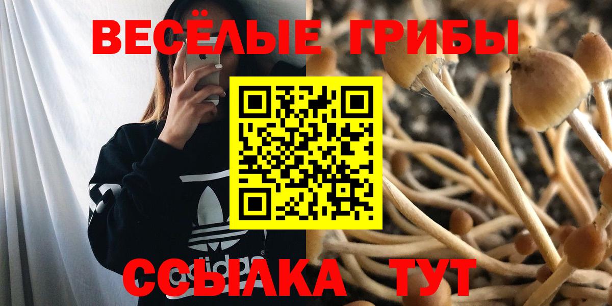 Псилоцибиновые грибы MAGIC MUSHROOMS  Туймазы 